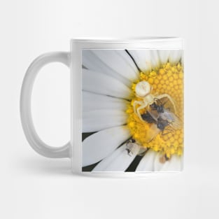 Tiny crab spider (likely male Misumena vatia) with lots of prey Mug